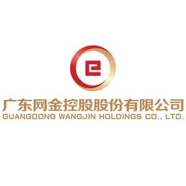 廣東網金控股股份